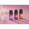 Steamspa Pure Extract Essential Oils Set SS-EOIL6P-XX - alternate 5